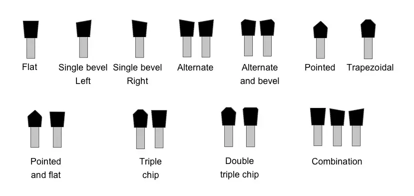 forme standard del dorso dei denti
